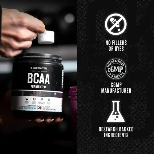 Jacked Factory BCAA | 30 servicios | Fruit Punch | Aminoácidos de cadena ramificada | Suplemento alimenticio